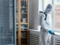 Топ-3 доступных способов предотвратить появление плесени в домашних условиях