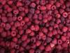 Які продукти допомагають знизити ризик раку підшлункової залози