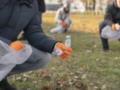 Общественно полезные работы: кого из граждан могут привлечь