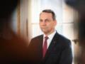 Сикорский высказался о позиции Венгрии по отношению к Украине