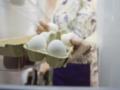 Украинские яйца будут продавать в Канаду: страна официально открыла свой рынок