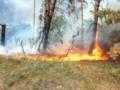 На Харьковщине ликвидируют 11 лесных пожаров