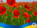 Что с 9 мая: отмечает Украина и как рассеялись советские нарративы