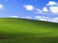 Зеленый холм из знаменитых обоев Windows XP изменился до неузнаваемости: фотофакт
