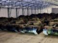 США отправили Польше очередную партию танков Abrams