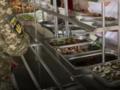 Для ВСУ проведут масштабные закупки продуктов с усиленным контролем
