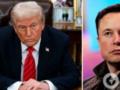 Трамп перестал упоминать о Маске в соцсетях: в Politico раскрыли причину