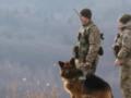 В ГПСУ рассказали, сколько мужчин задержали за незаконные попытки пересечения границы