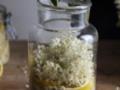 Вкусное домашнее шампанское из бузины: рассказываем, как правильно приготовить