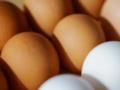Яйца будут еще вкуснее: добавьте секретный ингредиент