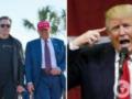  От любви до гроба до ссор на весь мир : хронология отношений Трампа и Маска