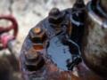 США против снижения потолка цен на нефть РФ - СМИ