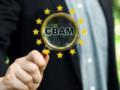 СВАМ может спровоцировать экономический коллапс в Украине, – Омельченко