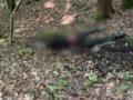 Спасатели обнаружили тело человека в горах недалеко от границы с Румынией