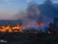 В Одесской области вспыхнули масштабные пожары: погибла женщина, три человека пострадали