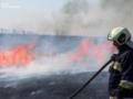 На Полтавщине пожар уничтожил поле зерновых