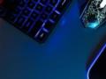 Популярность Windows 11 неуклонно растет: пользователи массово переходят на обновленную ОС