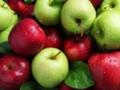 В магазинах РФ продают яблоки из КНДР - СМИ