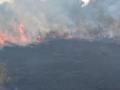 В Одесской области вспыхнул сухостой на площади 18 000 кв. м