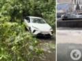 Киев накрыл мощный шторм: непогода повалила деревья и строительный кран.