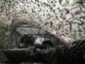 ВСУ ликвидировали российского легкоатлета