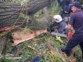 В Одесской области дерево упало на палатку с подростками. Один из них погиб