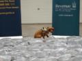 В Ирландии в грузовике нашли каннабис стоимостью более 2,1 млн евро