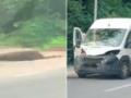 Под Винницей микроавтобус сбил лося