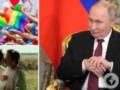 Пропаганда вышла на новый уровень: Путин запретил россиянам смотреть фильмы с  намеком  на ЛГБТ