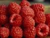 Продукты, которые помогают избавиться от лишнего веса