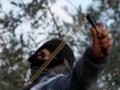 Стреляли из рогатки: в Чехии осудят двух украинцев