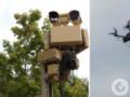 Над военными базами в Германии стали чаще фиксировать шпионские дроны: что говорит статистика