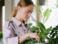 Что сделать со спатифиллумом в августе, чтобы он долго цвел