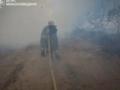 В Николаевской области выгорело 93 гектара территории