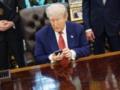 Трамп позвонил Зеленскому и лидерам ЕС - СМИ