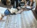 В Одесской области на взятке поймали чиновника ТЦК