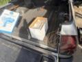Чиновника Лесов Украины поймали на взятке в 3 млн