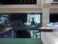 В российском дроне нашли видео с китайского завода