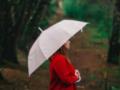 Часть Украины на 1 сентября накроют дожди: синоптики дали детальный прогноз. Карта