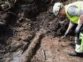 Исследователи обнаружили  капсулу времени  с доисторическими сокровищами в болоте