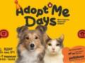AdoptMe Days: в Киеве состоится 17-й фестиваль, где будут искать дом животным из приютов