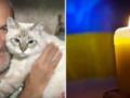 Второго шанса Бог не дал: что известно о Сергее Молибоге, который погиб в результате попадания российской ракеты вблизи Чернигов