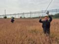 Стало известно о новых отключениях в двух областях
