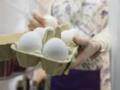 Дверцы холодильника – худшее место: рассказываем, где именно хранить яйца, чтобы они были свежими