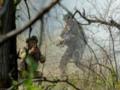 Генштаб ВСУ опроверг заявления РФ о продвижении в Ямполе на Сумщине