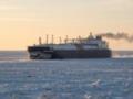 Greenpeace протестует против импорта сжиженного газа из России и США — DPA