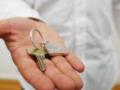 Прежних цен больше нет: в Украине массово переписали стоимость аренды 1-комнатных квартир