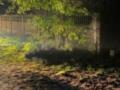 Влетел в бетонное ограждение: на Волыни в ДТП погиб 24-летний мотоциклист.