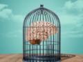 Эксперт заявил, что информационные войны будущего будут битвой за человеческое сознание
