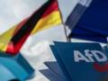 Немецкую партию AfD подозревают в шпионаже в пользу РФ - СМИ